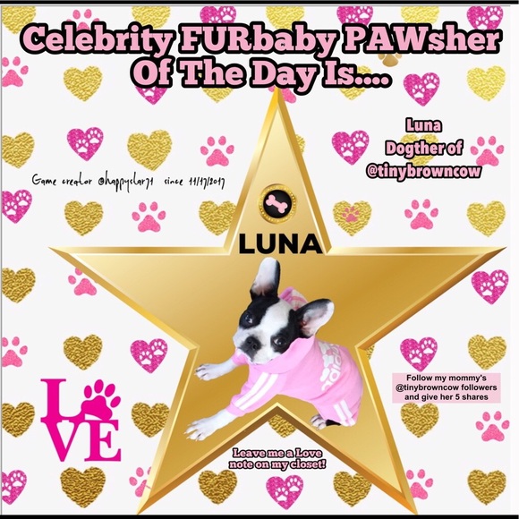 Follow game.  let’s keep growing together - Picture 4 of 6